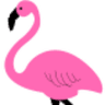 flamingo recruitment